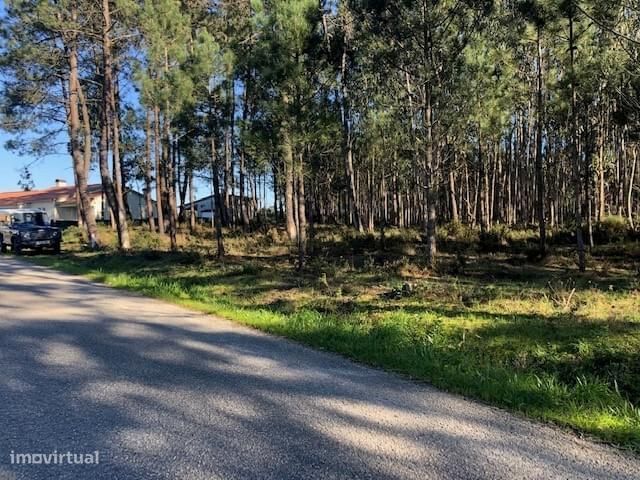 Terreno Rústico em Perímetro Urbano 1.2 ha, Pombal