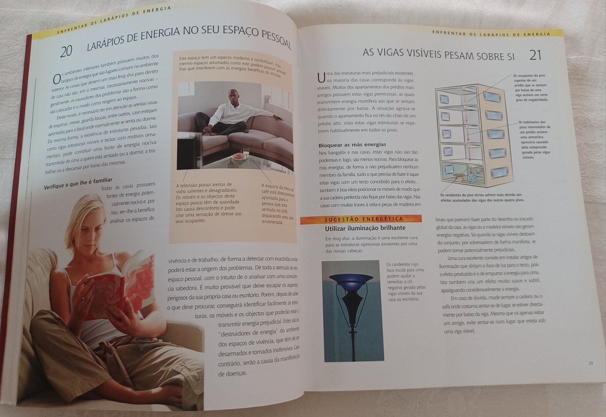 Livro Feng Shui - Lillian Too
