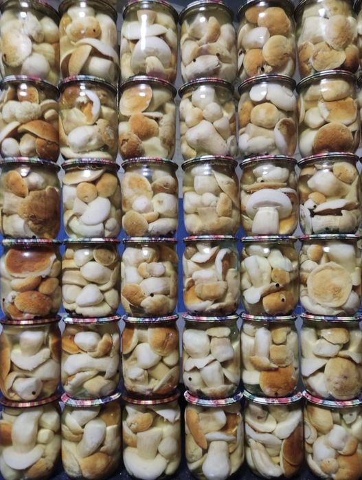 Мариновані грибочки, смачний маринад, широкий асортимент різних видів