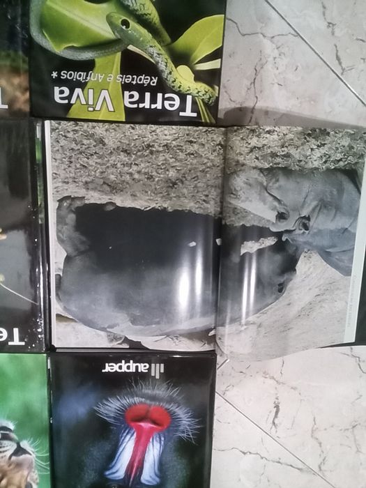 Livros coleção Terra Viva Animais