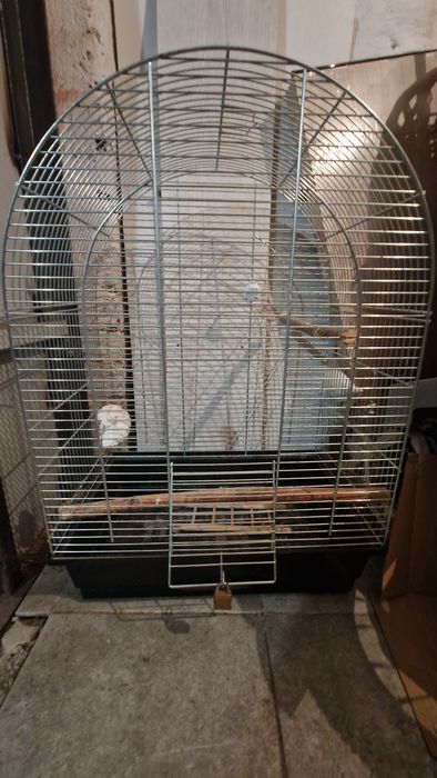 Duza klatka dla papugi