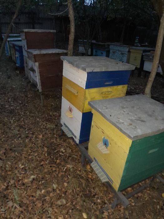 Продам вулики,лежаки та корпусні,.