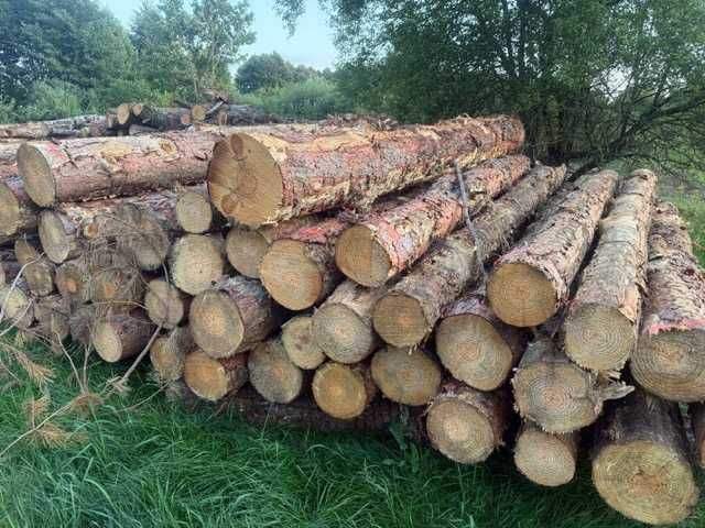 Drzewo - olcha, brzoza, sosna - opał, kłoda, tartak - od 120zł/mp
