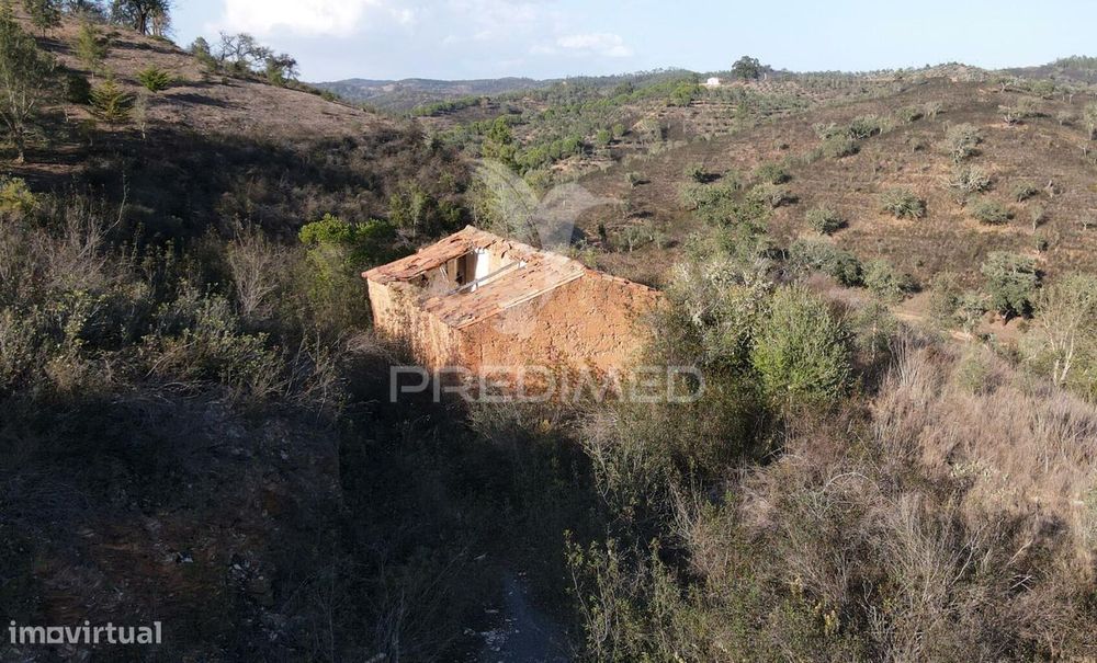 Quinta com 1,0250 ha e uma ruína em Luzianes Gare