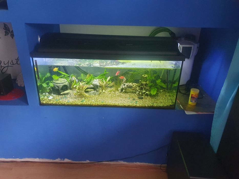 Sprzedam akwarium 160 litrów z całym osprzętem
