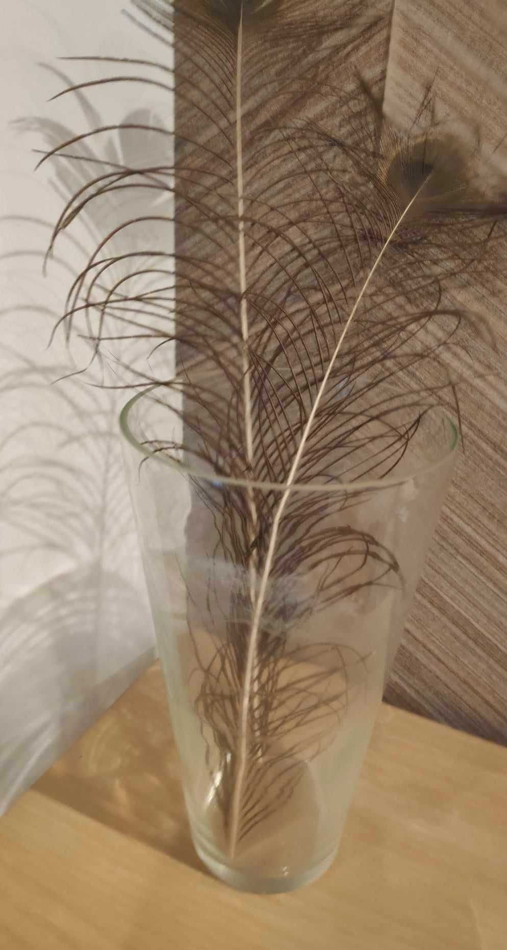 Jarro vidro para decoração.