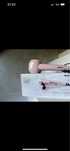 Automatyczna lokowka Babyliss rose blush curl
