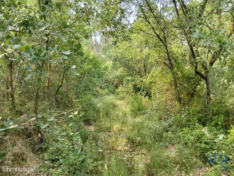 Terreno em Chãos de 1480,00 m2