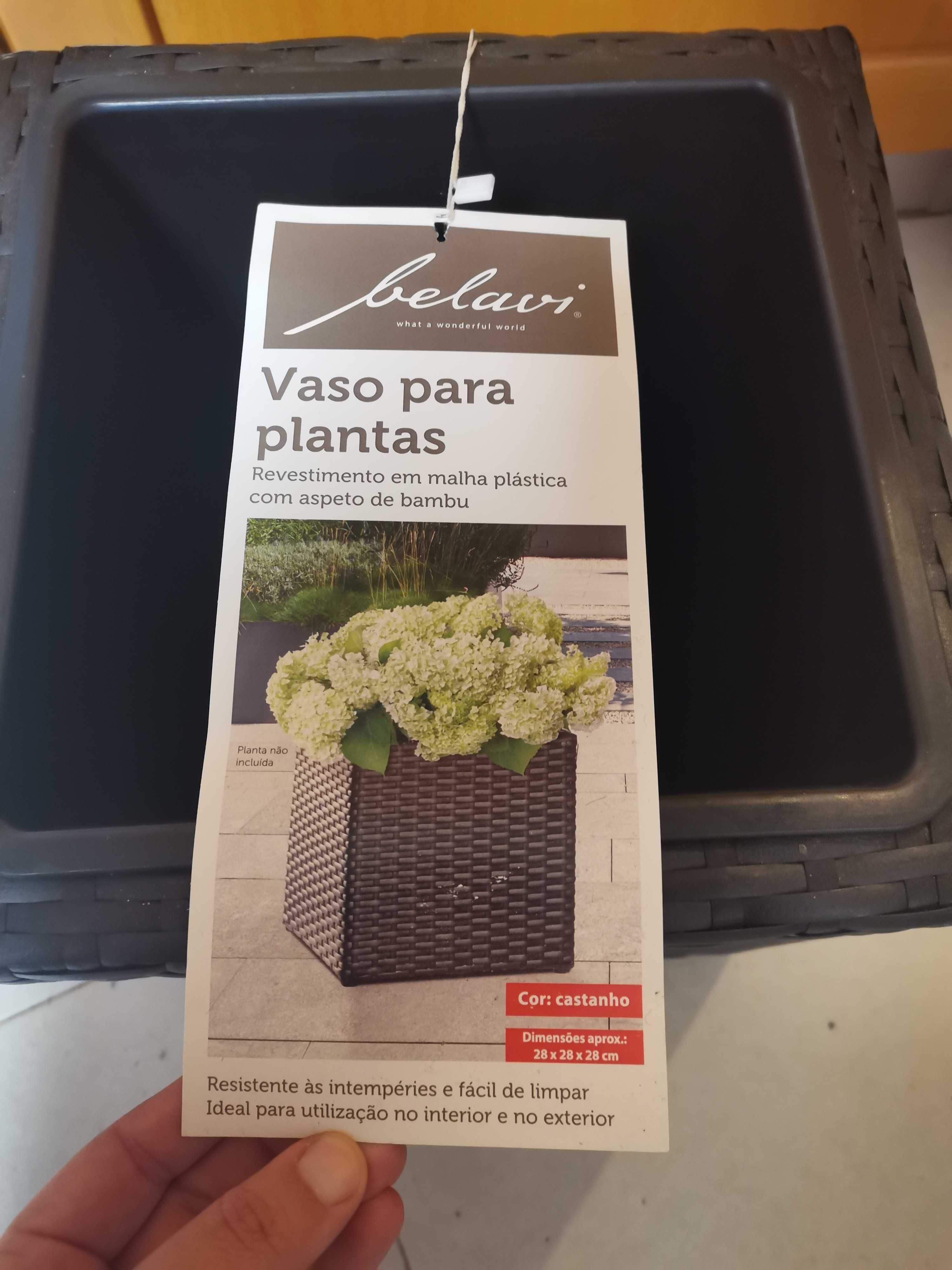 Vaso Wengue Novo