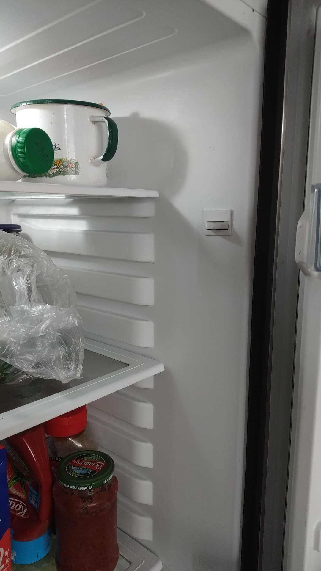 lodówka chłodziarko zamrażarka Amica 55 cm 170 cm A++