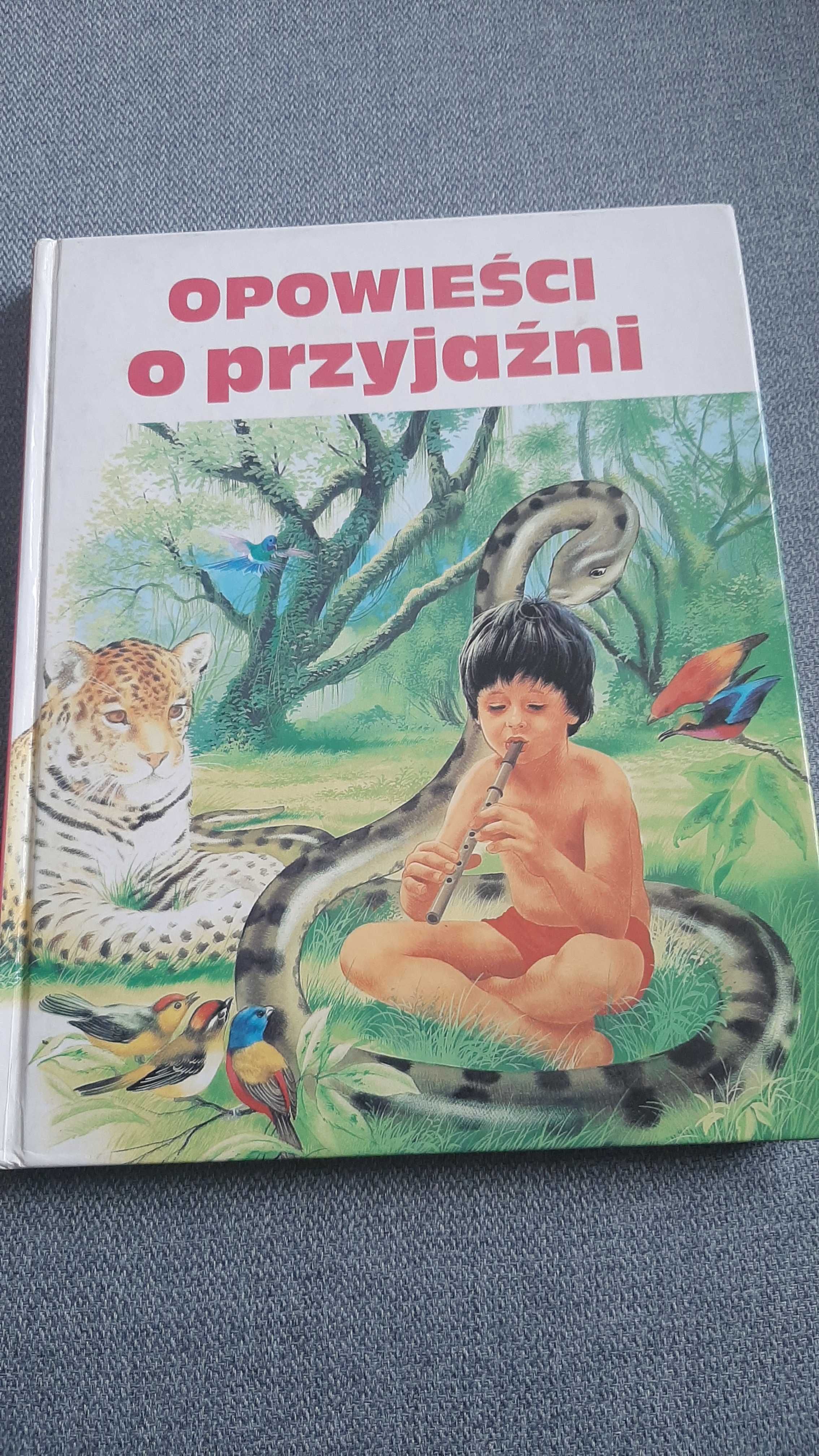 Opowieści o przyjaźni Dominique Ribaupierre Philippe Salembier Maïlé