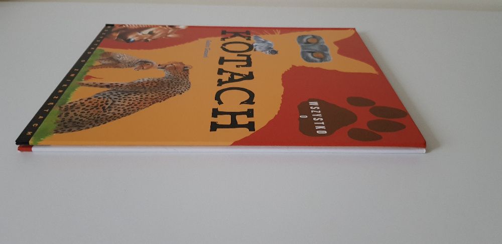 Wszystko o kotach Anita Ganeri