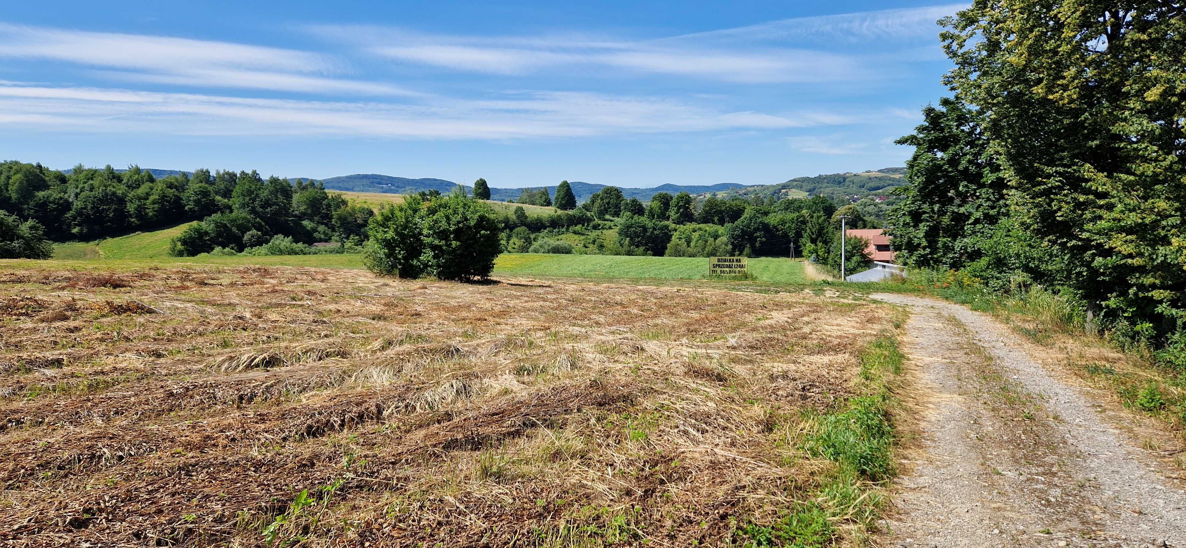 Działka budowlana 24ar, Tuchów, widokowa na wzgórzu (lub 2 x 12ar)