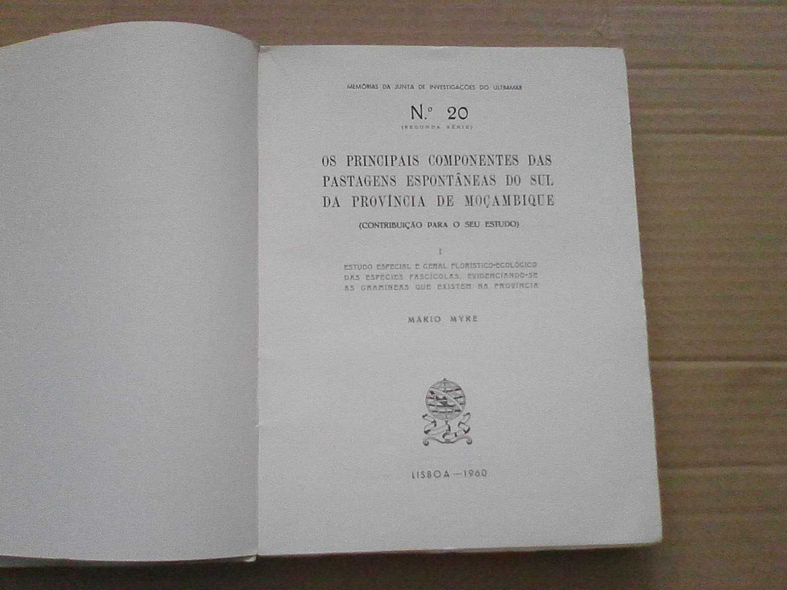 Os Principais Componentes Das Pastagens De Moçambique
