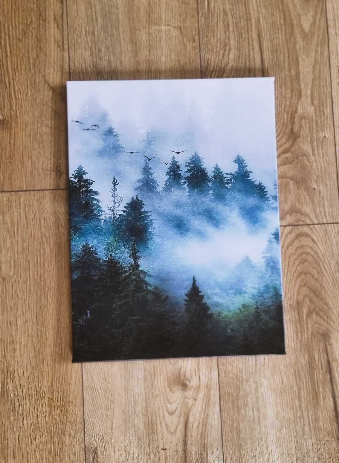 Obraz na płótnie, Las we mgle, krajobraz 3D - 30x40 cm
