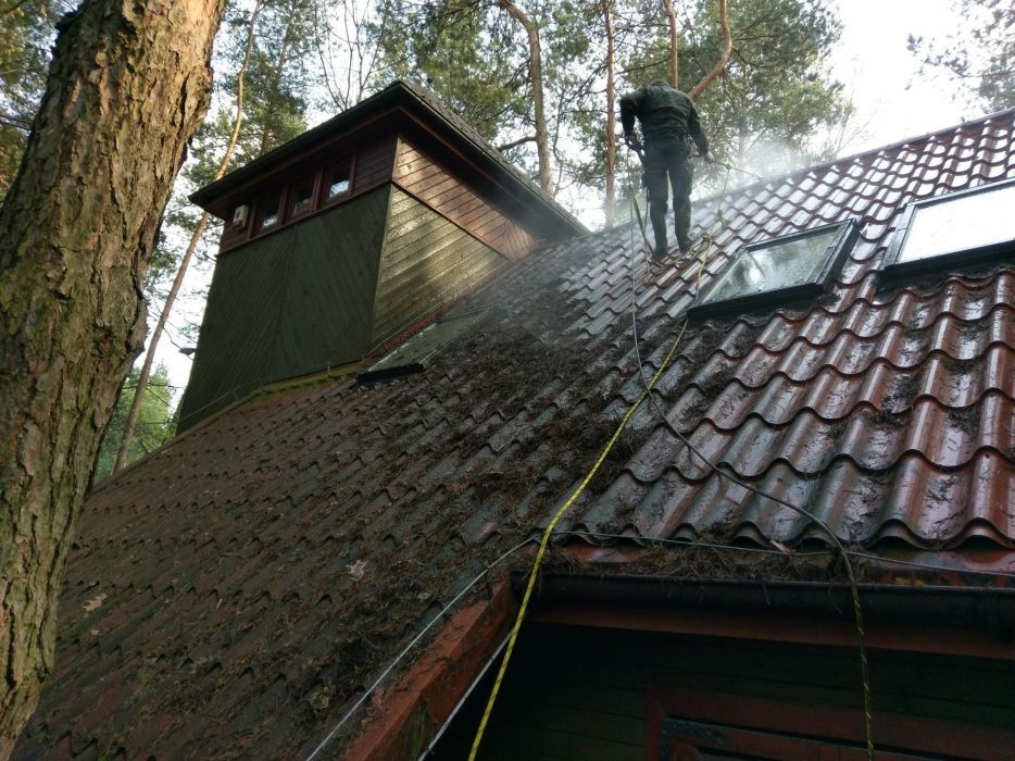 wycinka drzew z podnośnika sekcyjnie Mycie Dachów rynien elewacji