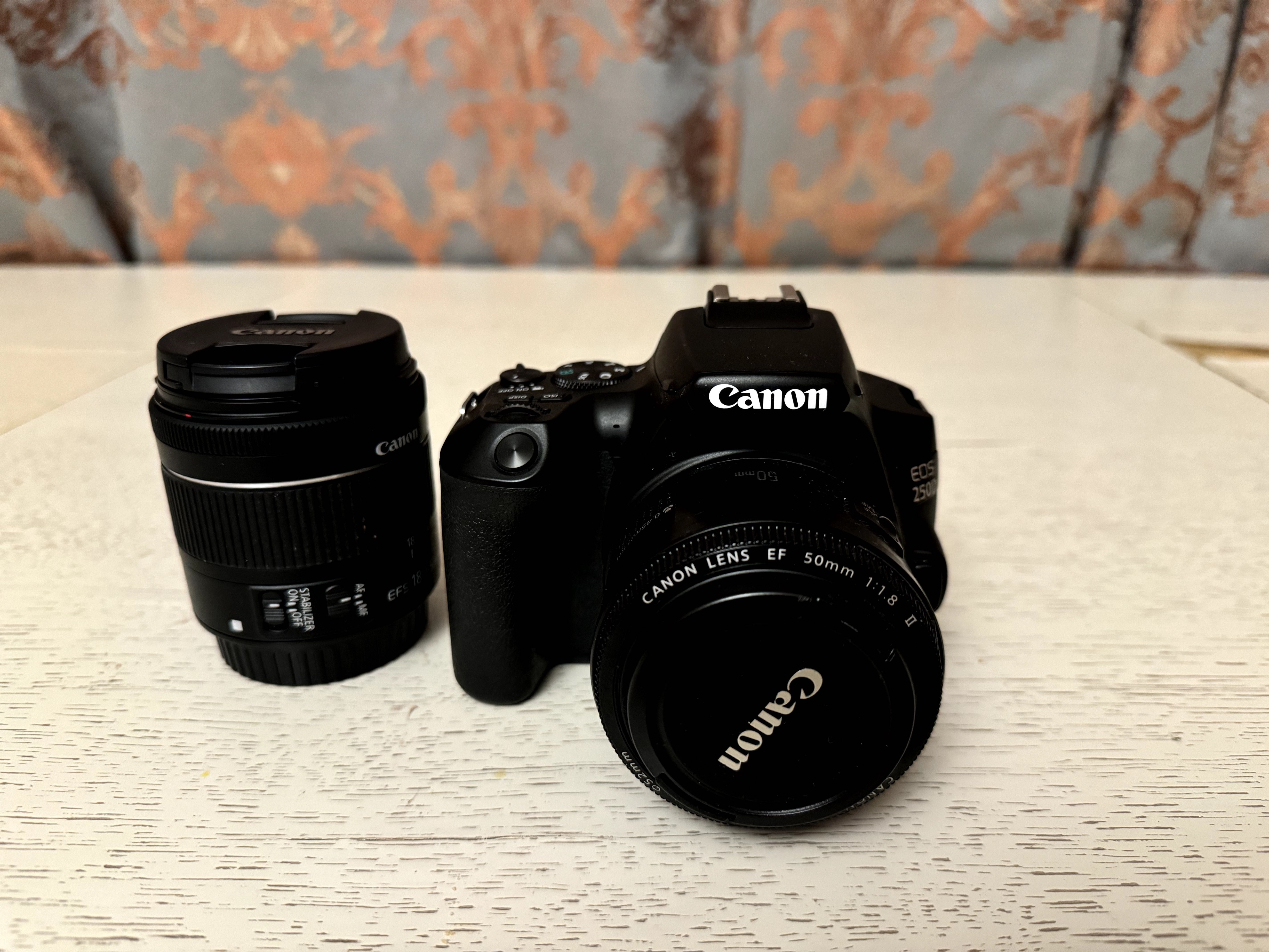 Canon eos 250d, kit 18-55mm f/3.5-5.6, canon ef 50mm f1.8
