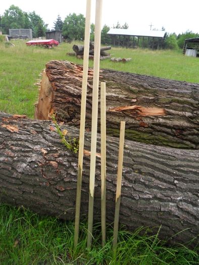 Paliki ogrodnicze, paliki do pomidorów, tyczka do roślin