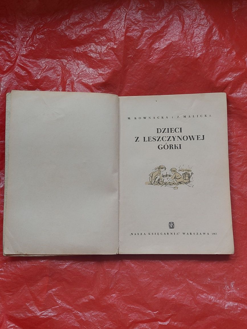 Książka dziecięca Dzieci z Leszczynowej Górki 1961rok