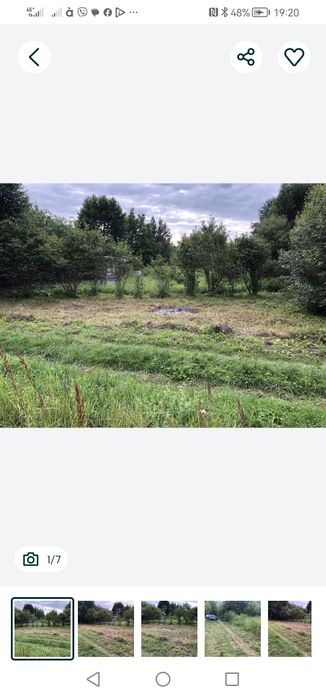 Дилянка участок. Лука мелешкивська