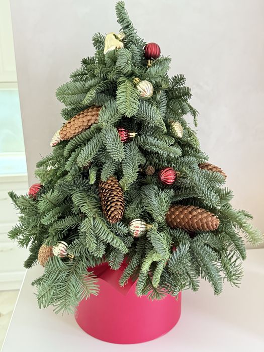 Продам живу новорічну ялинку у коробці з іграшками