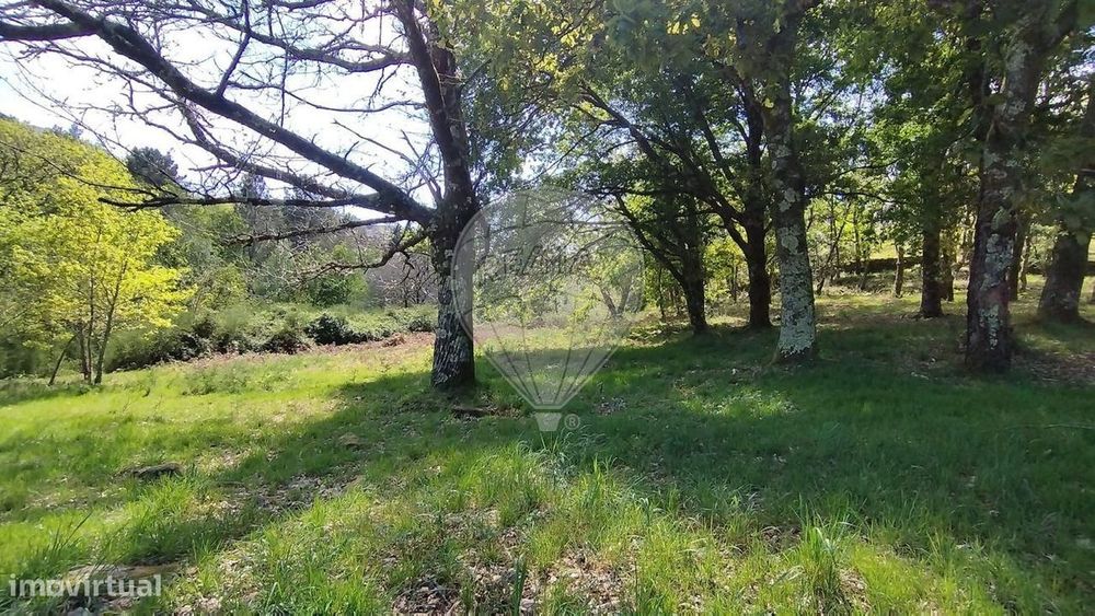 Terreno  para venda