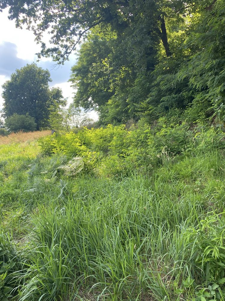 dzialke budowlana sprzedam Swoszowice Rajsko Krakow