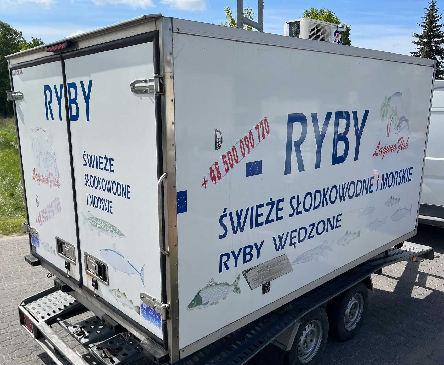 KONTENER CHŁODNIA STACJONARNA Carrier 230V Kontener Chłodniczy 3m