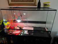 Vendo Terrario com tudo incluso