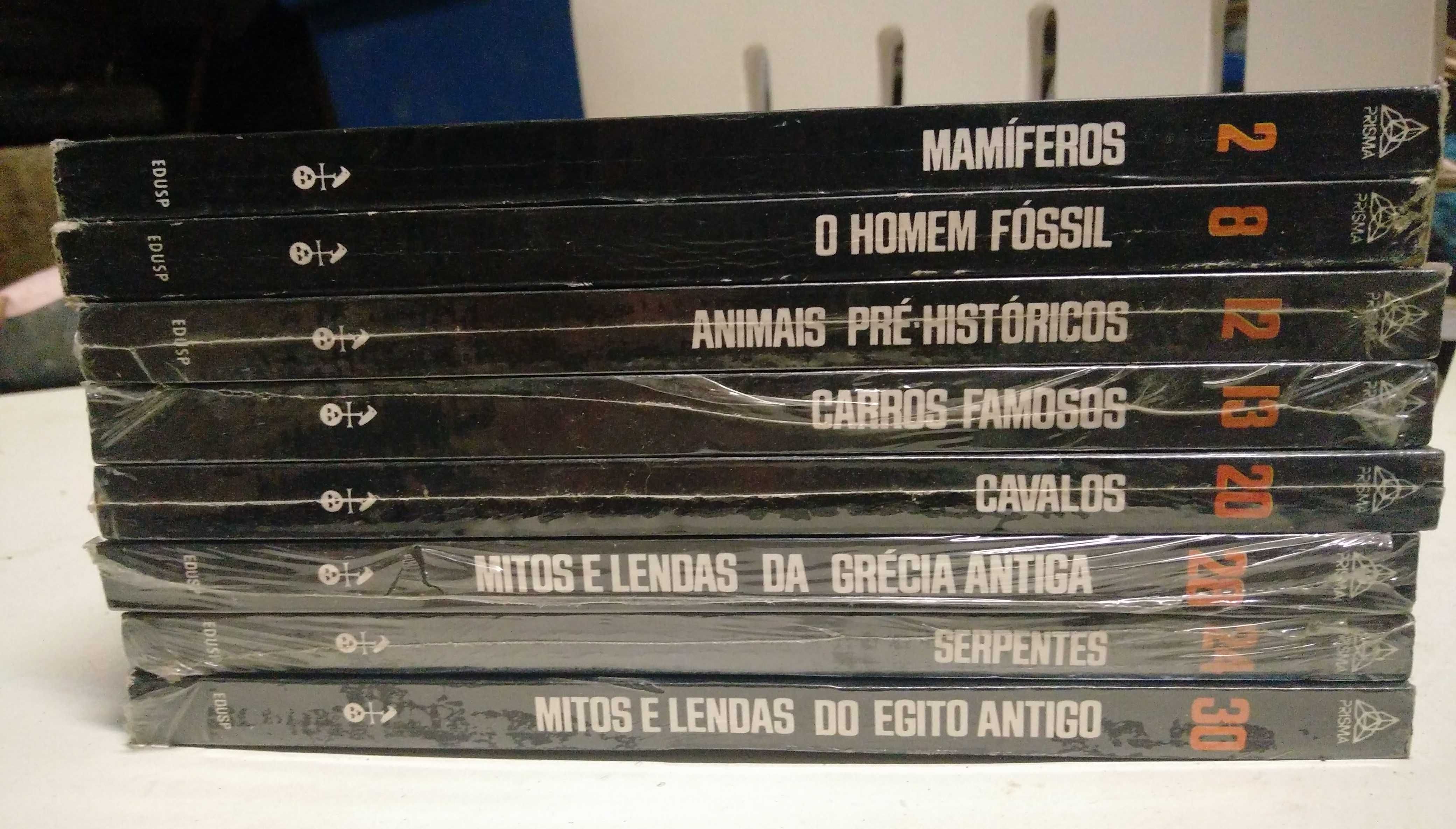 Livros Coleção Prisma - O conhecimento em cores