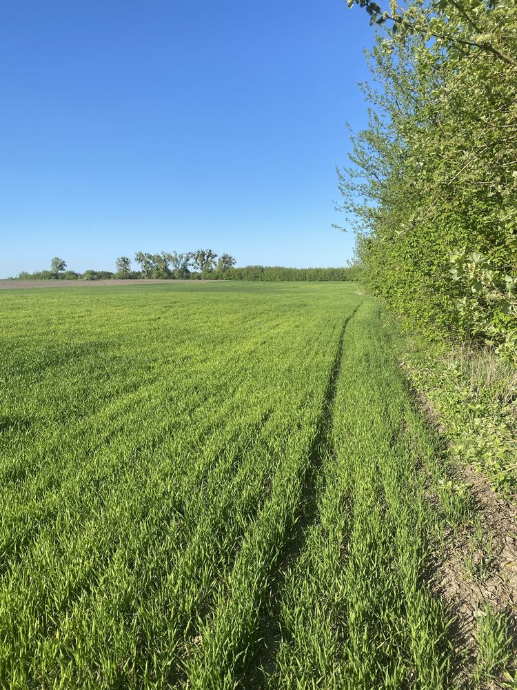 Продам фасадного пая біля рівного. Обарів