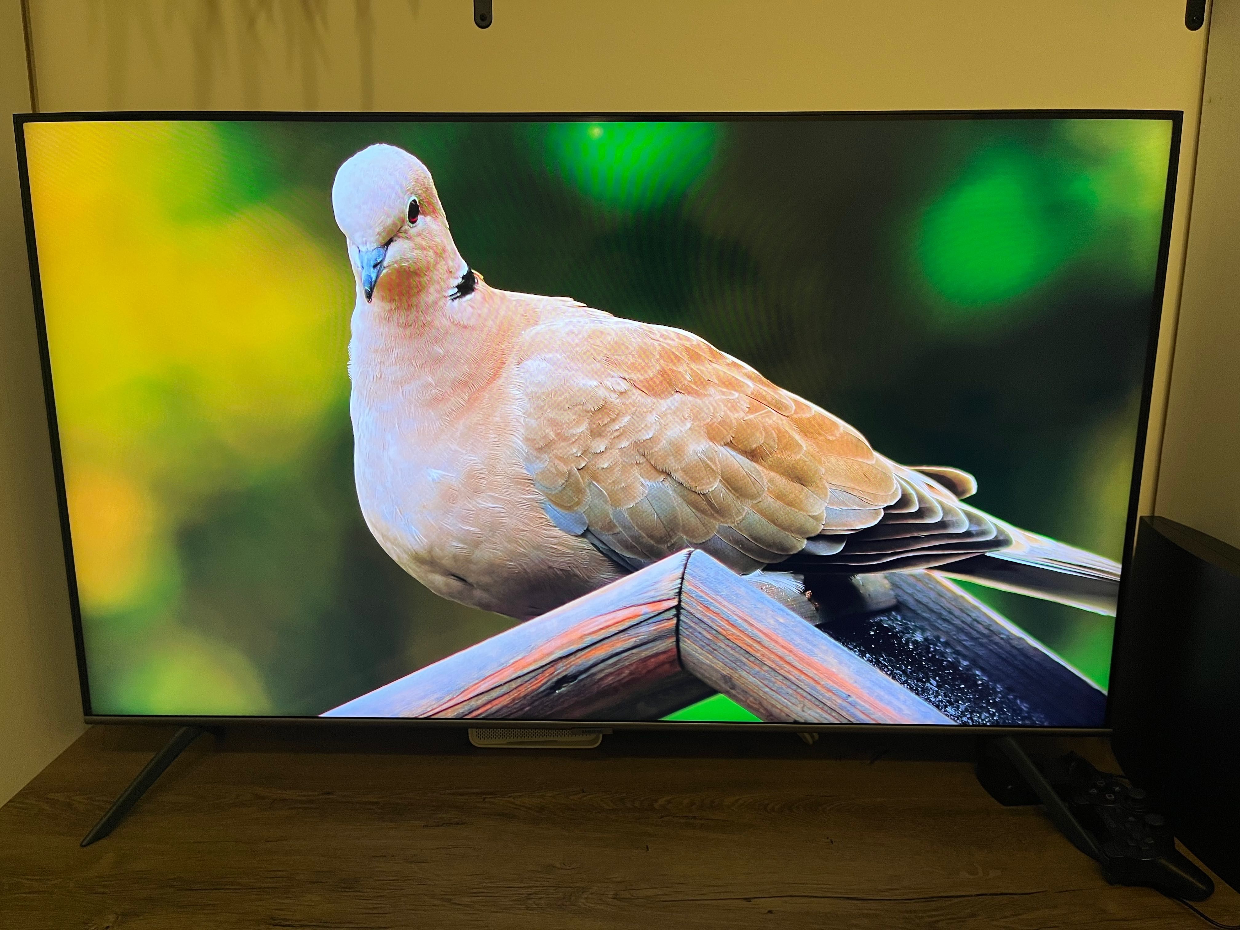 Telewizor SAMSUNG QE50Q67TAUxXH QLED 4K Tizen TV