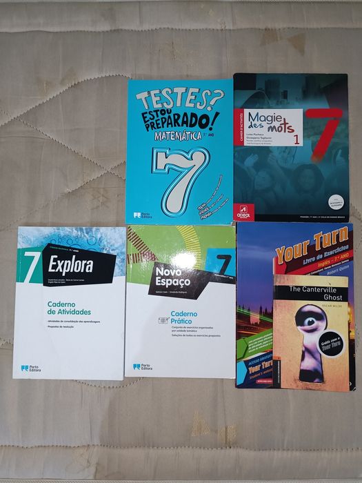 vendo cadernos de atividades 7°ano