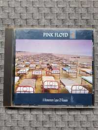 Pink Floyd-A Momentary Lapse Of Reason cd