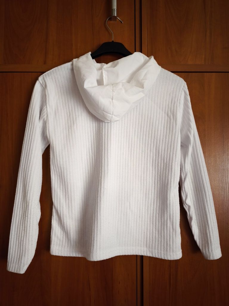 Bluza      damska