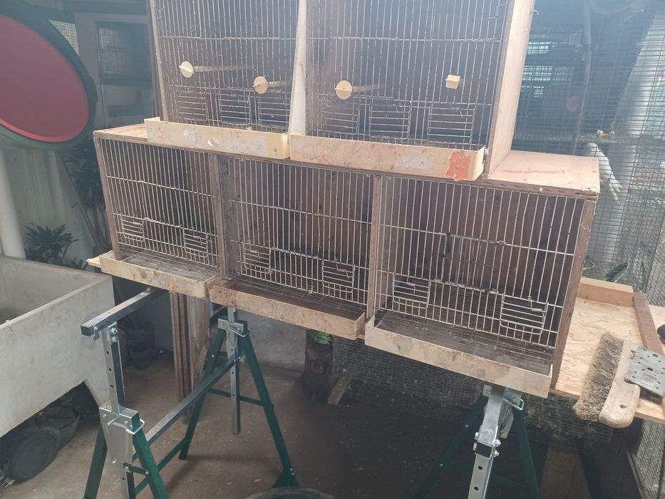 Gaiolas para aves pequenas