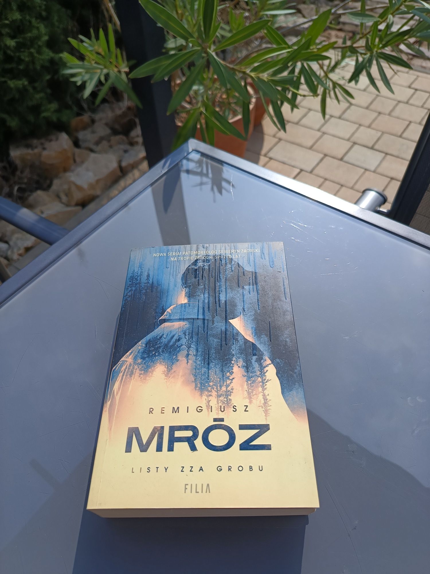 Listy zza grobu, Remigiusz Mróz książka