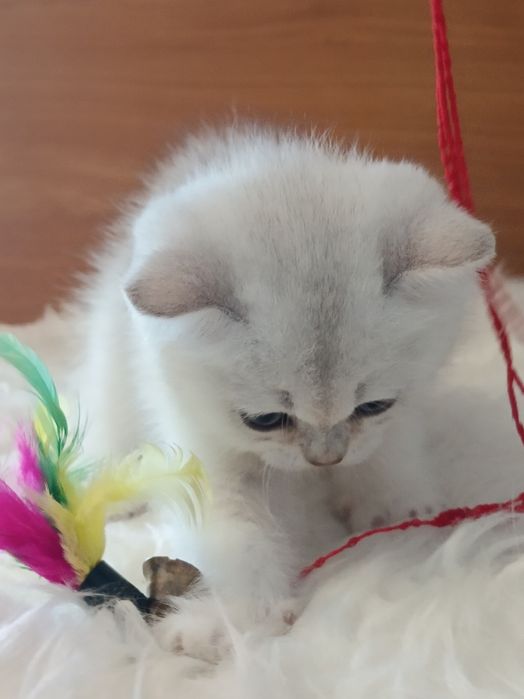 І буде Вам щастя