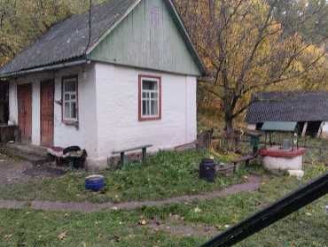 Продається будинок на Черкащині, село Кошмак, вул. Благовісна 5.