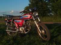 ALFA sabur 2013р