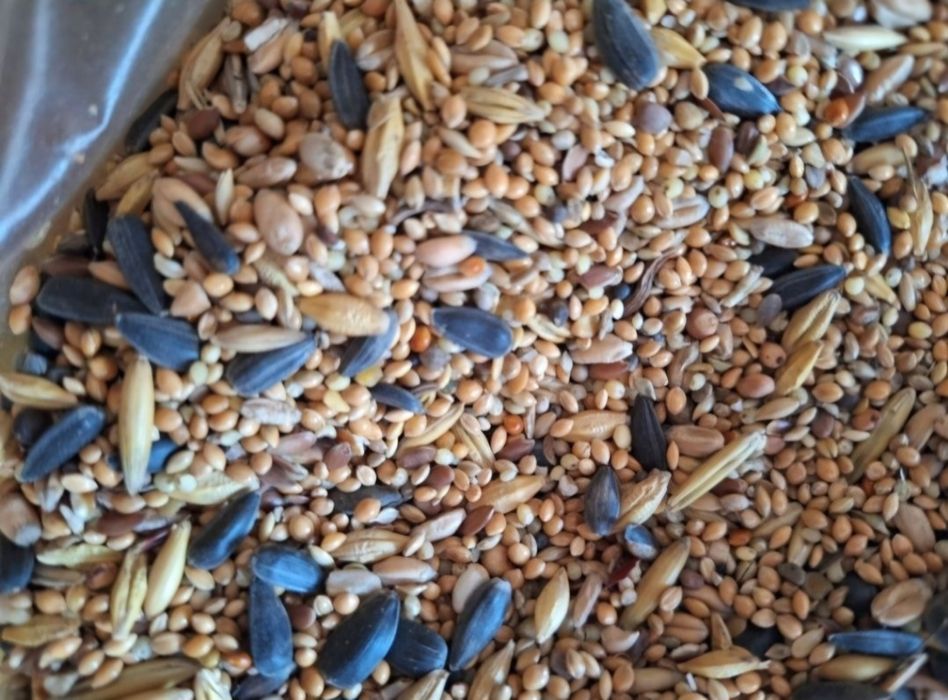 Pokarm zimowy Danimo do karmnika 20 kg, dla ptaków zimujących.