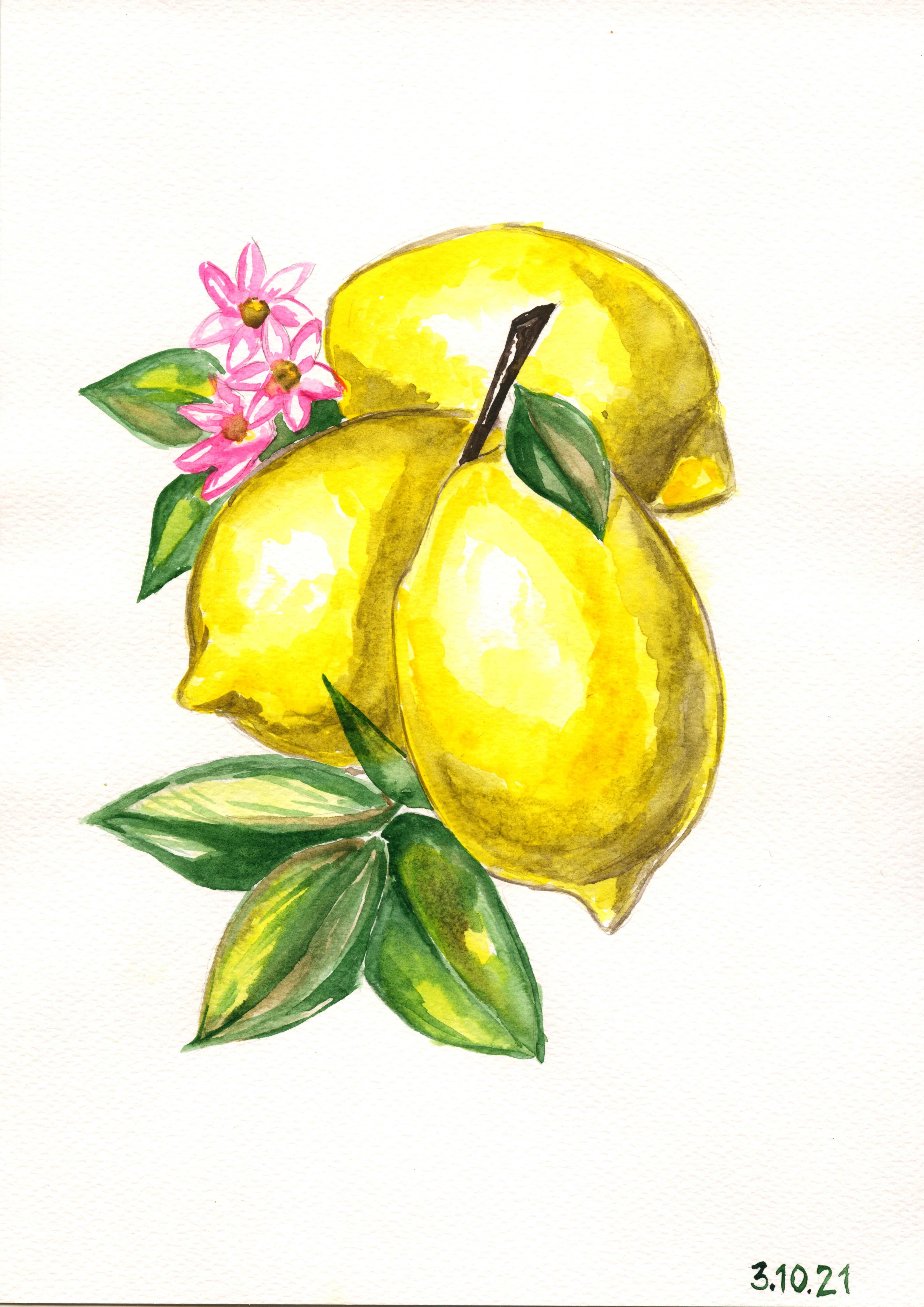 Картина акварелью Лимоны
