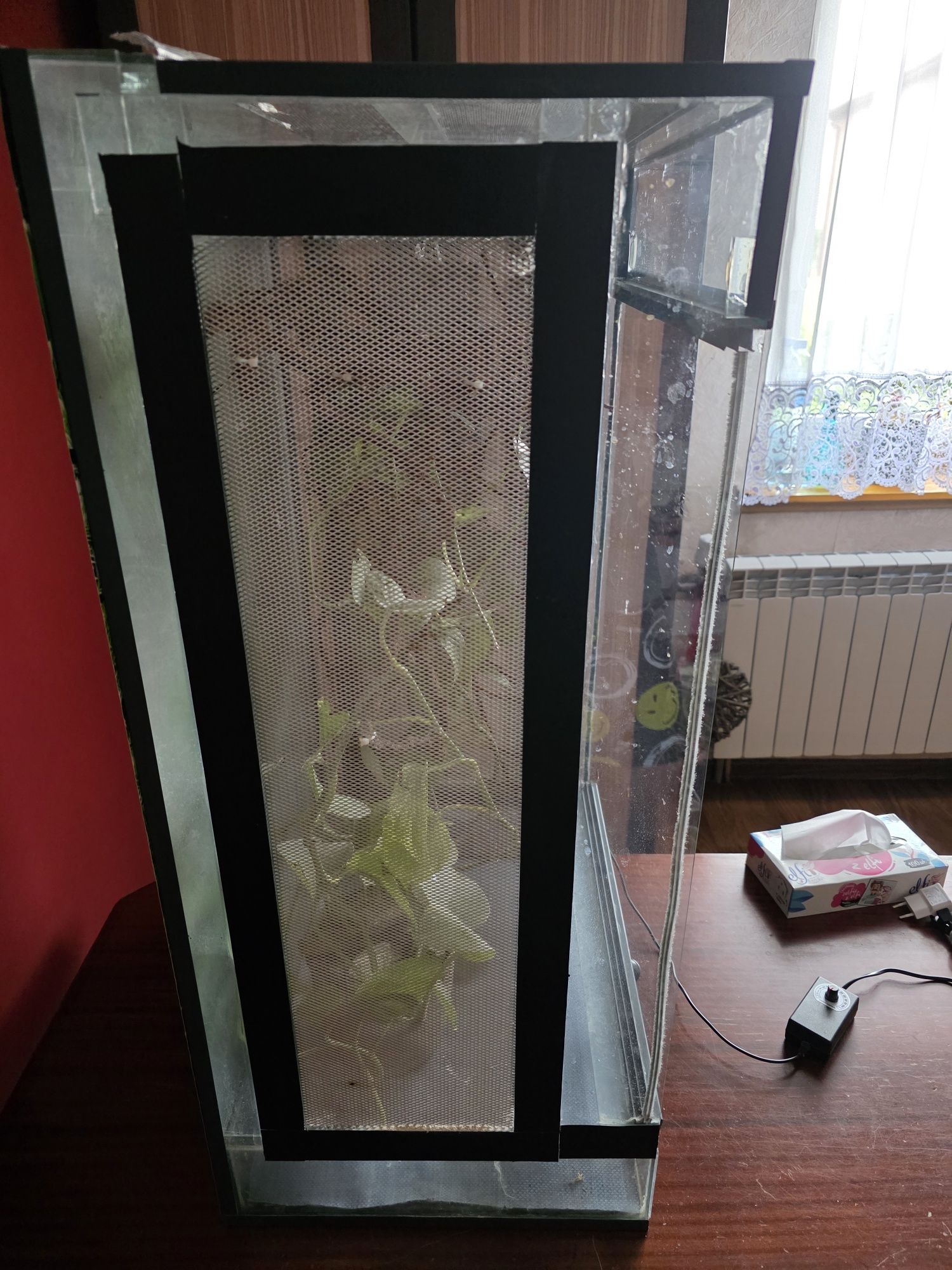 Terrarium dla kameleona z osprzętem