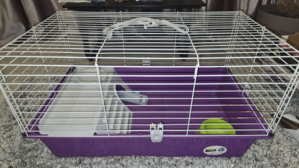 Клітка для кролика