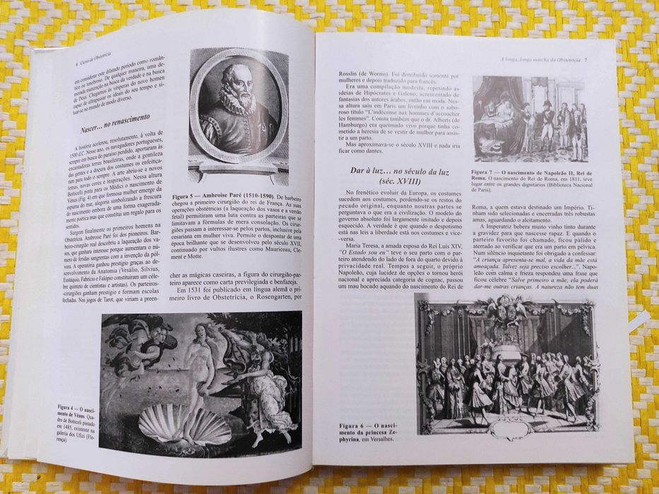 Curso de OBSTETRÍCIA 

Mário Luiz Mendes