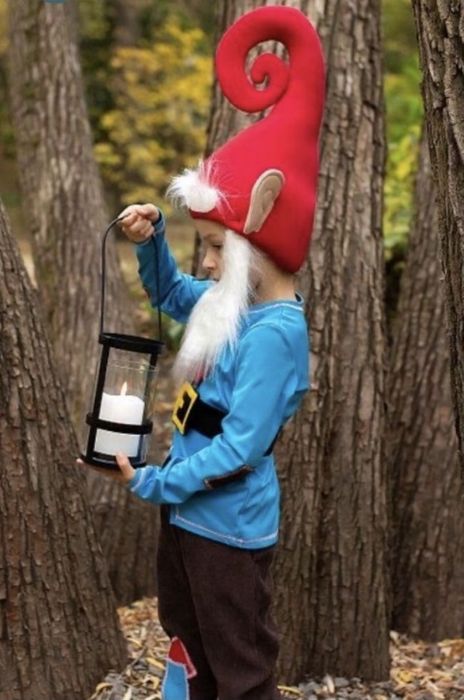 Костюм гнома, Гном