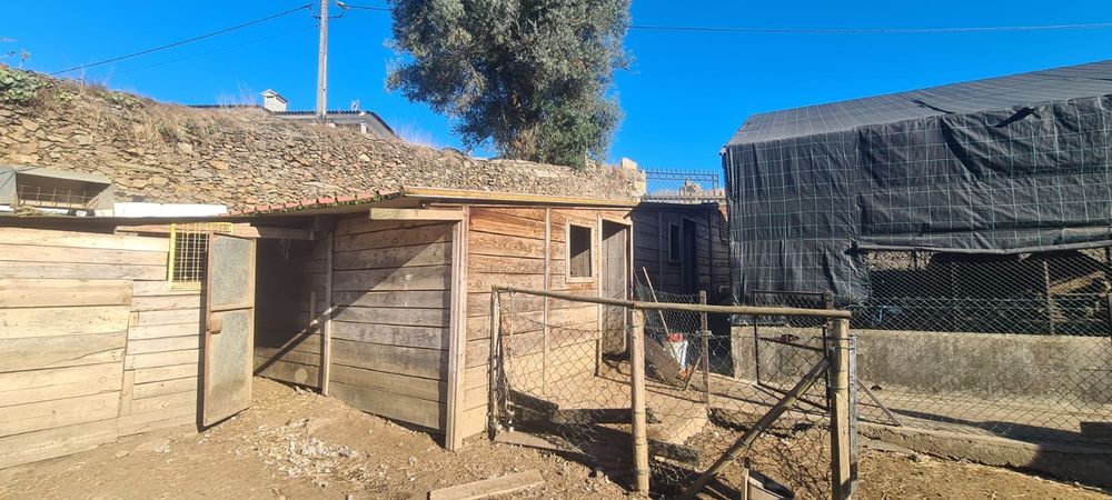 Quintinha em Ribeirão