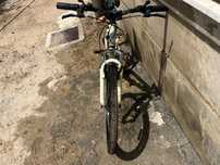 Bicicleta de senhora Berg