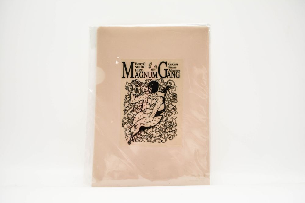 JOJO'S Bizarre Adventure - Teczka B5