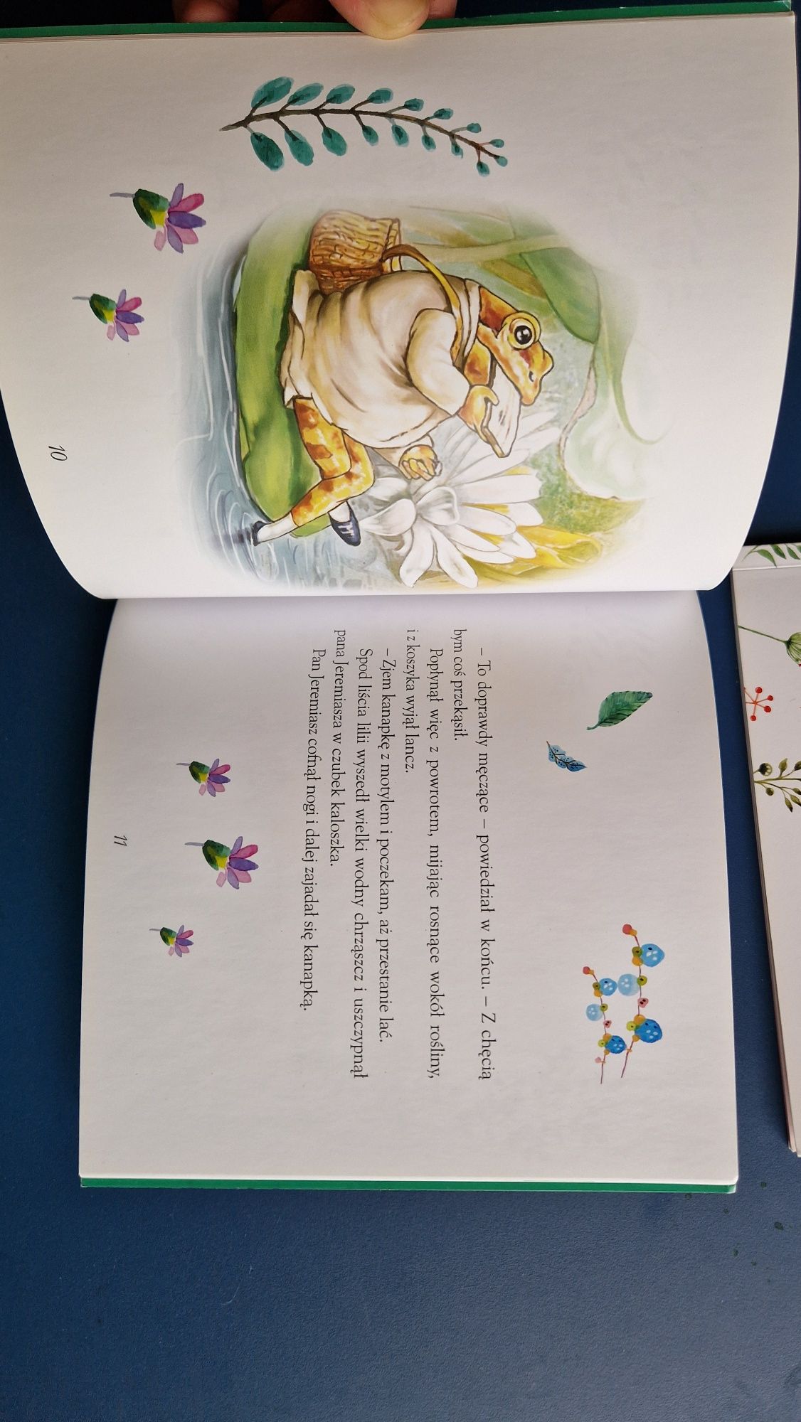 Króliczek Piotruś, Pan Jeremiasz Rybak